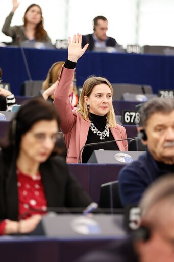 EP Plenary session - Voting session