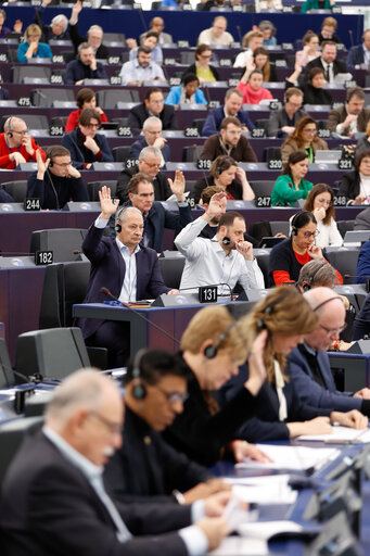 Fotografie 18: EP Plenary session - Voting session