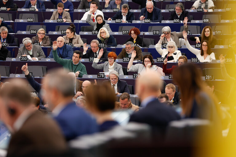 EP Plenary session - Voting session