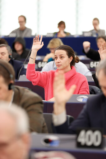 Fotografija 24: EP Plenary session - Voting session