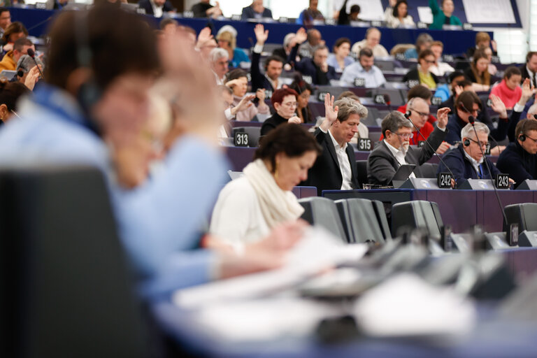 Fotagrafa 15: EP Plenary session - Voting session