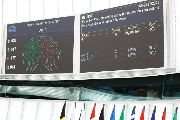 Fotografie 17: EP Plenary session - Voting session