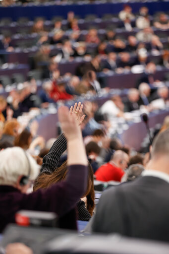 Fotografie 12: EP Plenary session - Voting session