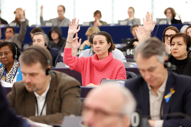 Fotagrafa 23: EP Plenary session - Voting session