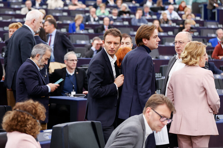 Fotografija 5: EP Plenary session - Voting session