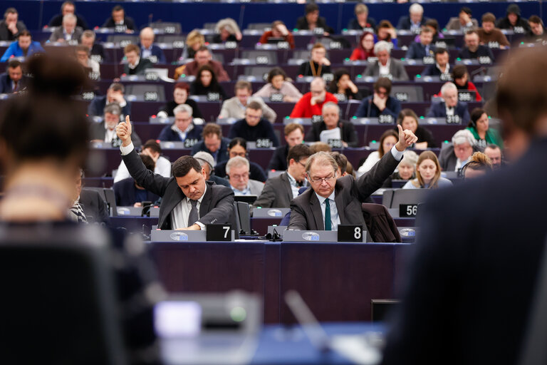 Fotagrafa 1: EP Plenary session - Voting session