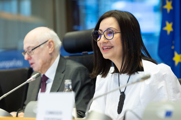 Photo 13 : ITRE - Structured dialogue with Commissioner Iliana Ivanova