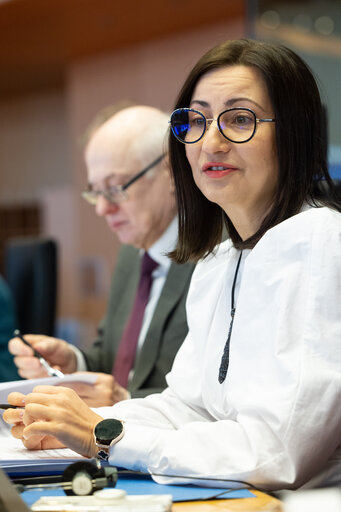 Photo 12: ITRE - Structured dialogue with Commissioner Iliana Ivanova