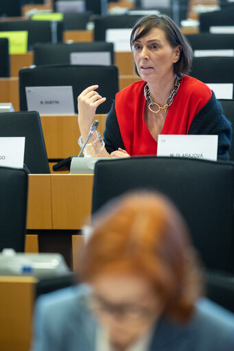 Photo 6 : ITRE - Structured dialogue with Commissioner Iliana Ivanova