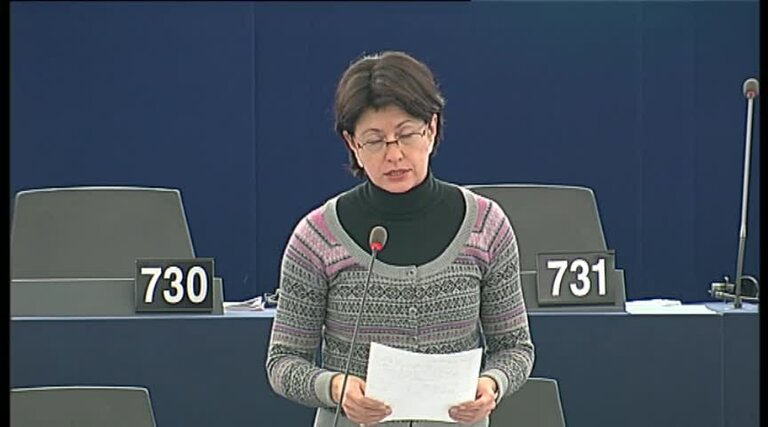 MEP Barbara Lochbihler - Plenary debate on China: Minority rights and application of the death penalty