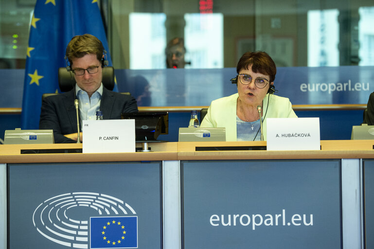 ENVI Committee - Presentation of the Czech Presidency's priorities of the EU Council