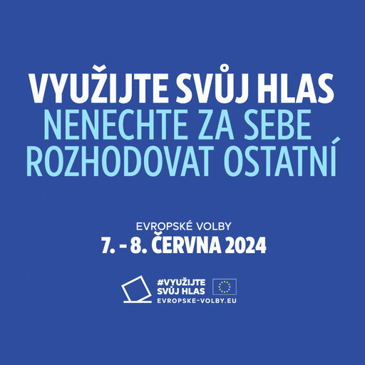 Fotó 2: Use your vote – European elections 2024 video thumbnails - 1:1