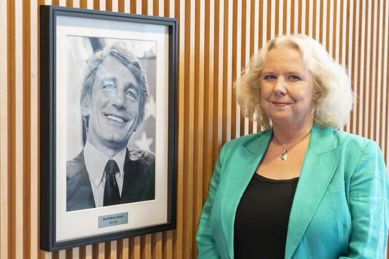 Φωτογραφία 12: Beatrice COVASSI in the EP in Brussels