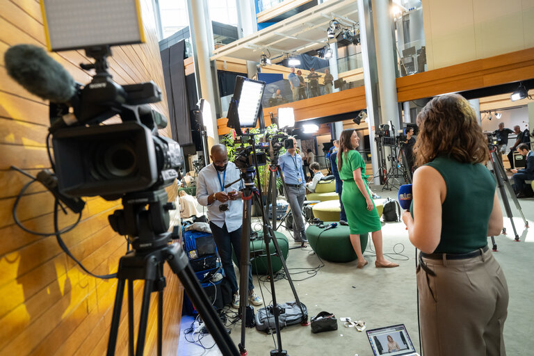 Illustration of journalists working around the Plenary chamber