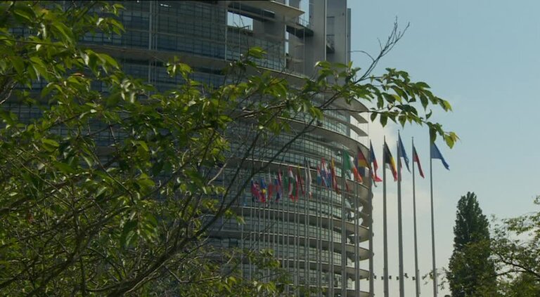 EP Plenary session (06-09 June): editing shots