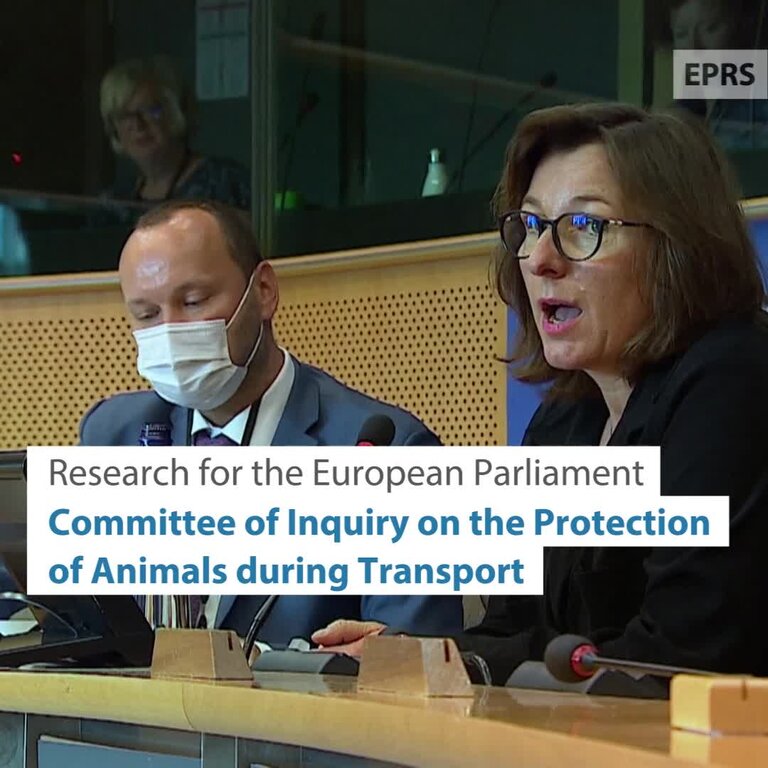 EPRS - Protecting vulnerable animals from illegal transport