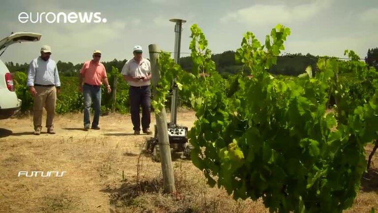 Futuris: VINBOT: un robot per il controllo delle vigne