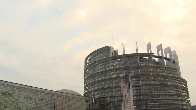 EP Plenary session (25-28/11): editing shots