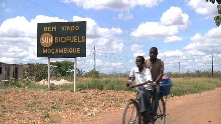 Rapporter: Stigende brug af biobrændsel og land grabbing