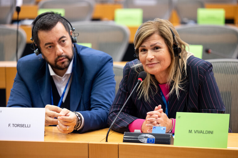 Fotografija 4: Delegation to the EU-Mexico Joint Parliamentary Committee  Constitutive meeting