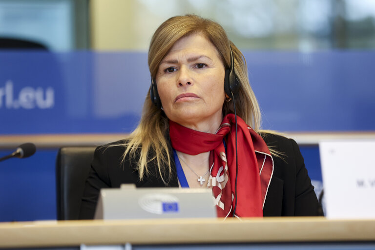 Valokuva 28: Delegation to the EU-Mexico Joint Parliamentary committee constitutive meeting