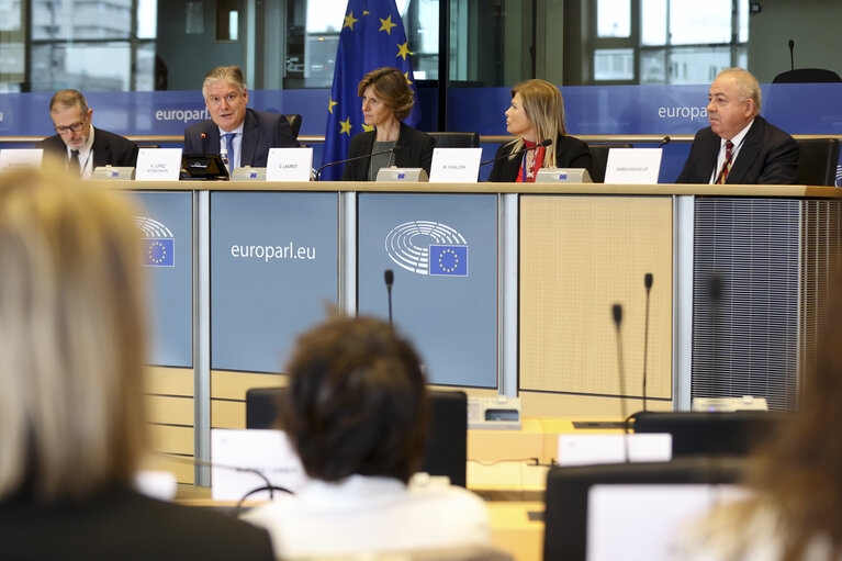 Valokuva 23: Delegation to the EU-Mexico Joint Parliamentary committee constitutive meeting