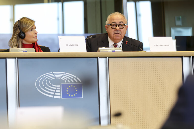 Photo 18 : Delegation to the EU-Mexico Joint Parliamentary committee constitutive meeting