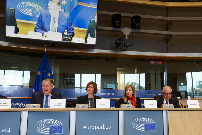 Photo 27 : Delegation to the EU-Mexico Joint Parliamentary committee constitutive meeting