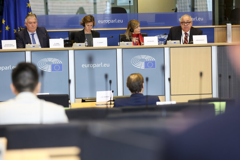 Photo 13 : Delegation to the EU-Mexico Joint Parliamentary committee constitutive meeting