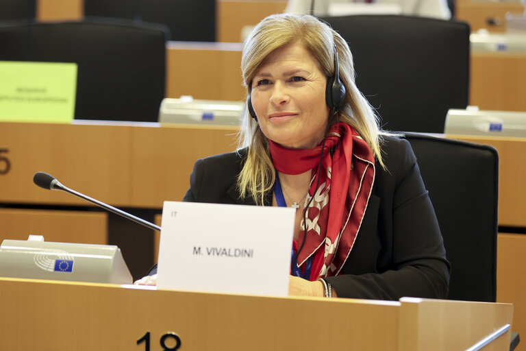 Valokuva 36: Delegation to the EU-Mexico Joint Parliamentary committee constitutive meeting