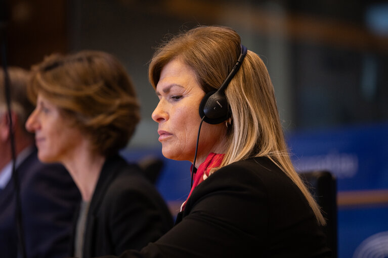 Photo 38 : Delegation to the EU-Mexico Joint Parliamentary committee constitutive meeting