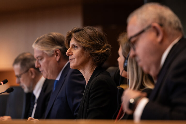 Photo 30 : Delegation to the EU-Mexico Joint Parliamentary committee constitutive meeting