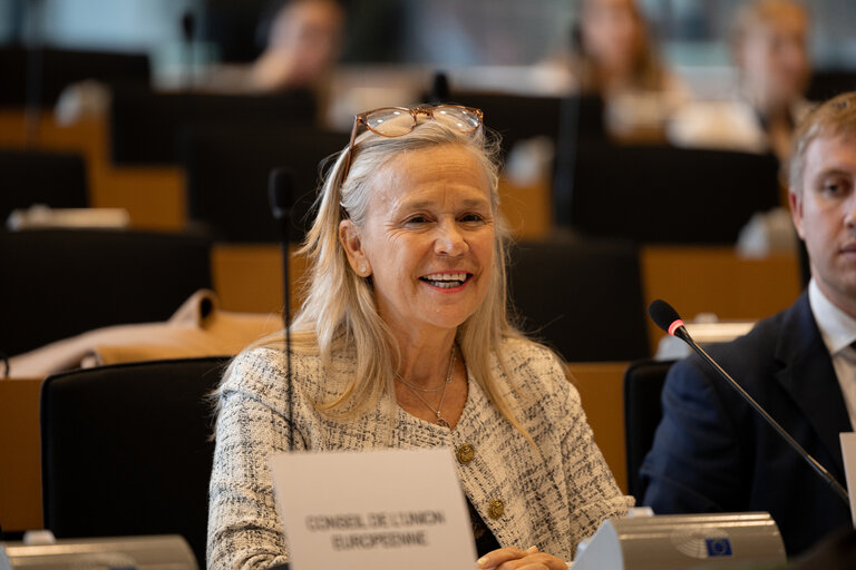 Foto 12: Delegation to the EU-Mexico Joint Parliamentary committee constitutive meeting