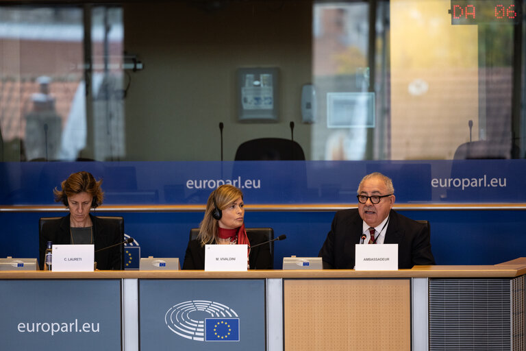 Fotagrafa 16: Delegation to the EU-Mexico Joint Parliamentary committee constitutive meeting