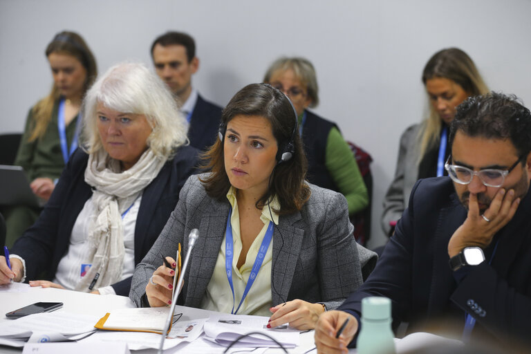 Photo 45: COP29 United Nations Climate Change Conference in Baku, Azerbaijan