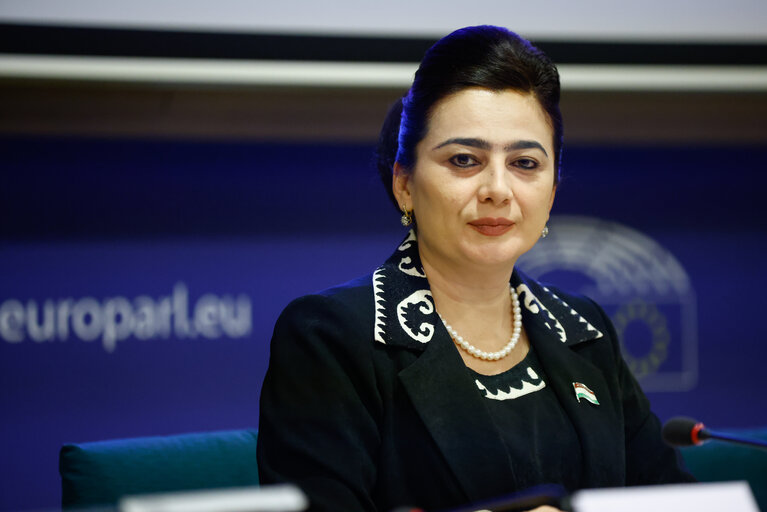 Zdjęcie 17: 11th EU – Republic of Tajikistan Parliamentary Cooperation Committee