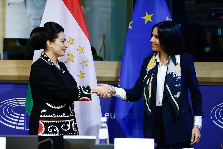 Zdjęcie 22: 11th EU – Republic of Tajikistan Parliamentary Cooperation Committee