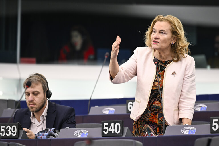 EP Plenary session.- Misinformation and disinformation on social media platforms, such as TikTok, and related risks to the integrity of elections in Europe