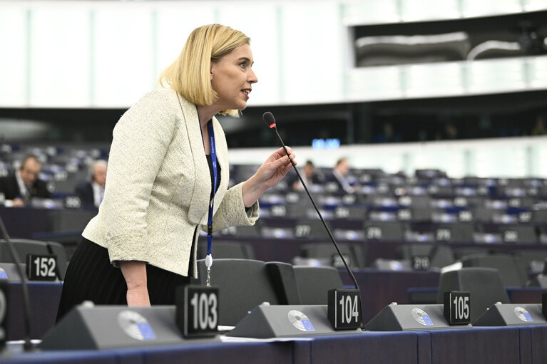 EP Plenary session - Misinformation and disinformation on social media platforms, such as TikTok, and related risks to the integrity of elections in Europe