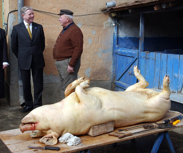 Valokuva 4: Pat Cox, EP President during his official visit in Hungary, March 14, 2003.