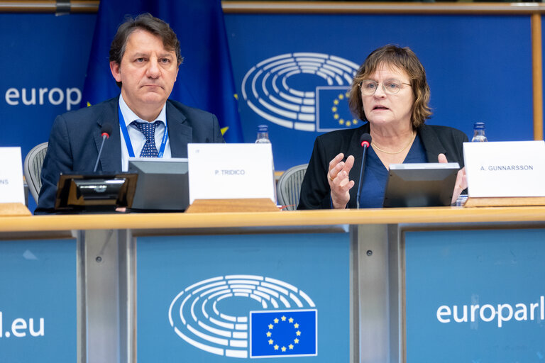 Fotografie 6: FISC Subcommittee - Public hearing on “The Impact of Taxation on Gender Equality in the EU”