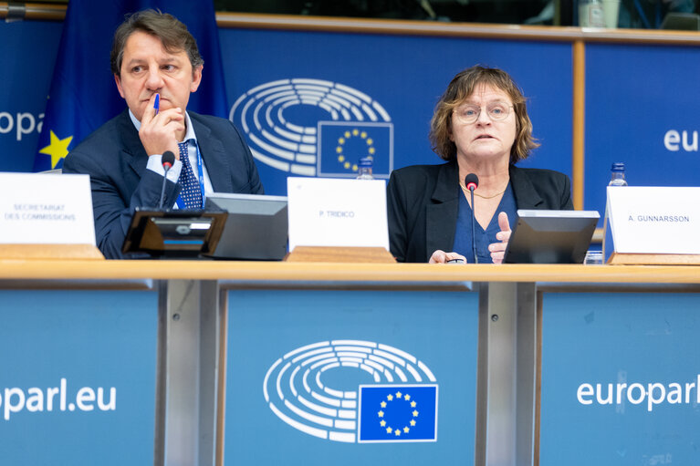 Fotografie 8: FISC Subcommittee - Public hearing on “The Impact of Taxation on Gender Equality in the EU”