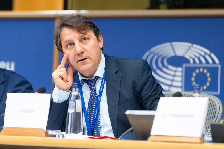 Fotografie 5: FISC Subcommittee - Public hearing on “The Impact of Taxation on Gender Equality in the EU”