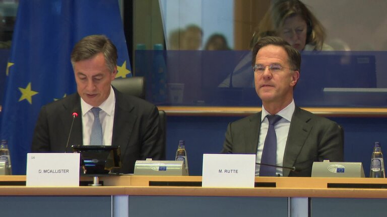 Exchange of views with Mark RUTTE, Secretary General of the North Atlantic Treaty Organisation (NATO): extracts - AFET Committee, SEDE Subcommittee and Delegation for relations with the NATO Parliamentary Assembly