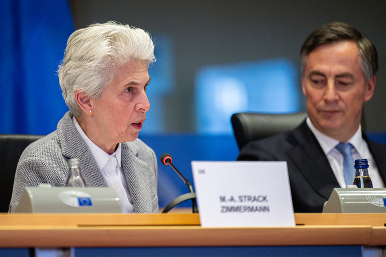 Photo 17: AFET SEDE - Exchange of views with Mark Rutte, Secretary General of NATO