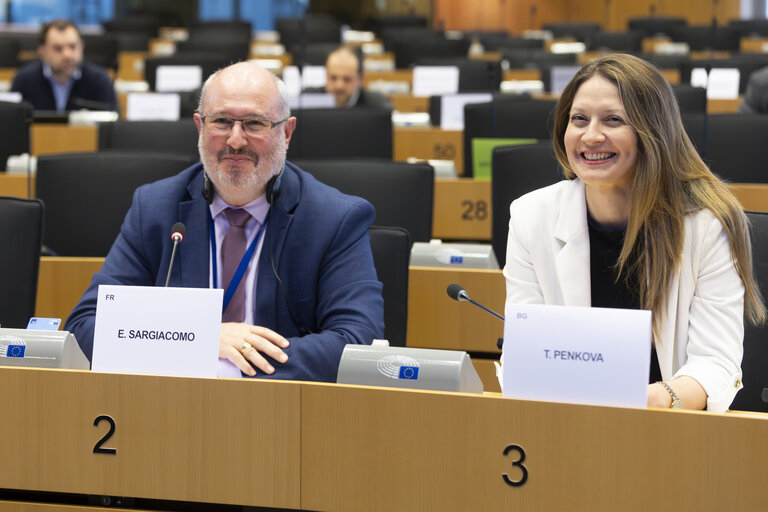 Election of the Vice Chairs of the EU-Montenegro delegation