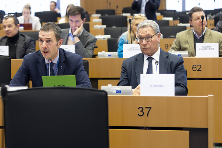 Election of the Vice Chairs of the EU-Montenegro delegation