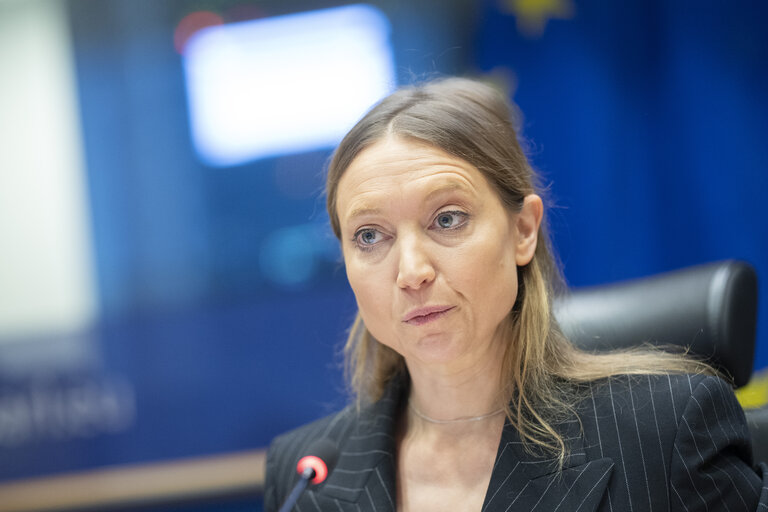 Photo 15: ECON - Public Hearing on The future of the Capital Markets Union (CMU)