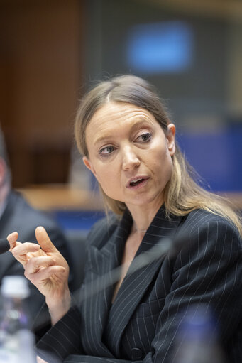 Photo 1: ECON - Public Hearing on The future of the Capital Markets Union (CMU)