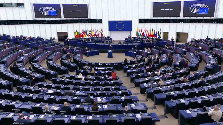 Need to enforce the Digital Services Act to protect democracy on social media platforms including against foreign interference and distorted algorithms: MEPs debate (part 1)